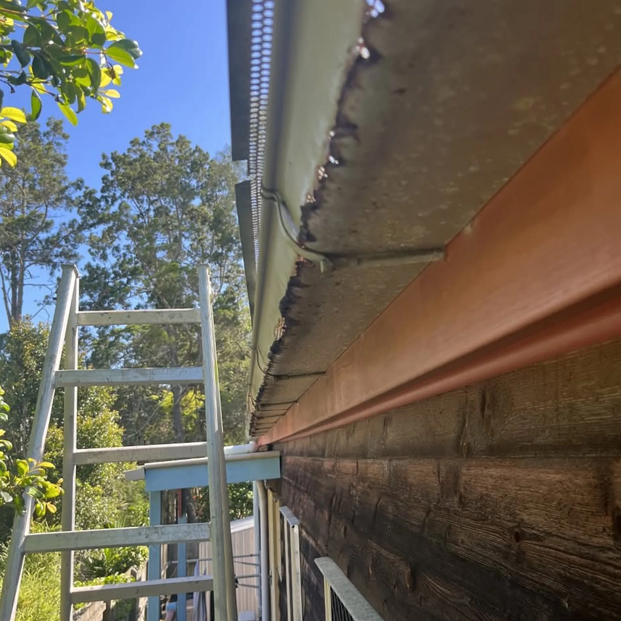 roof gutter and fascia maintenance issues