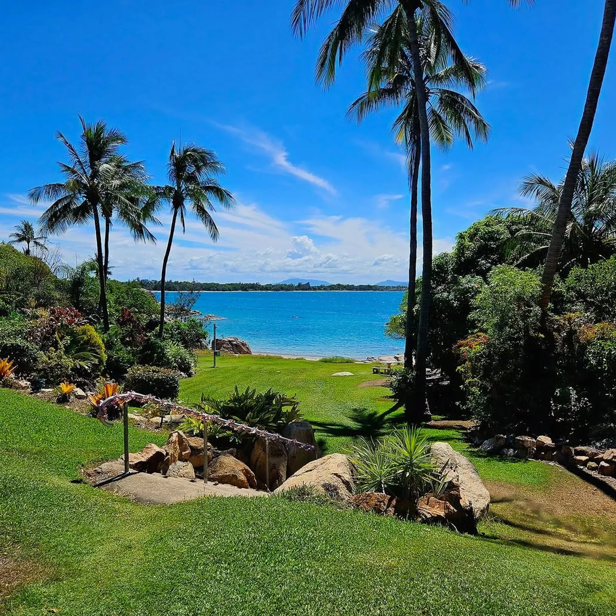 tropical queensland beach with palms
