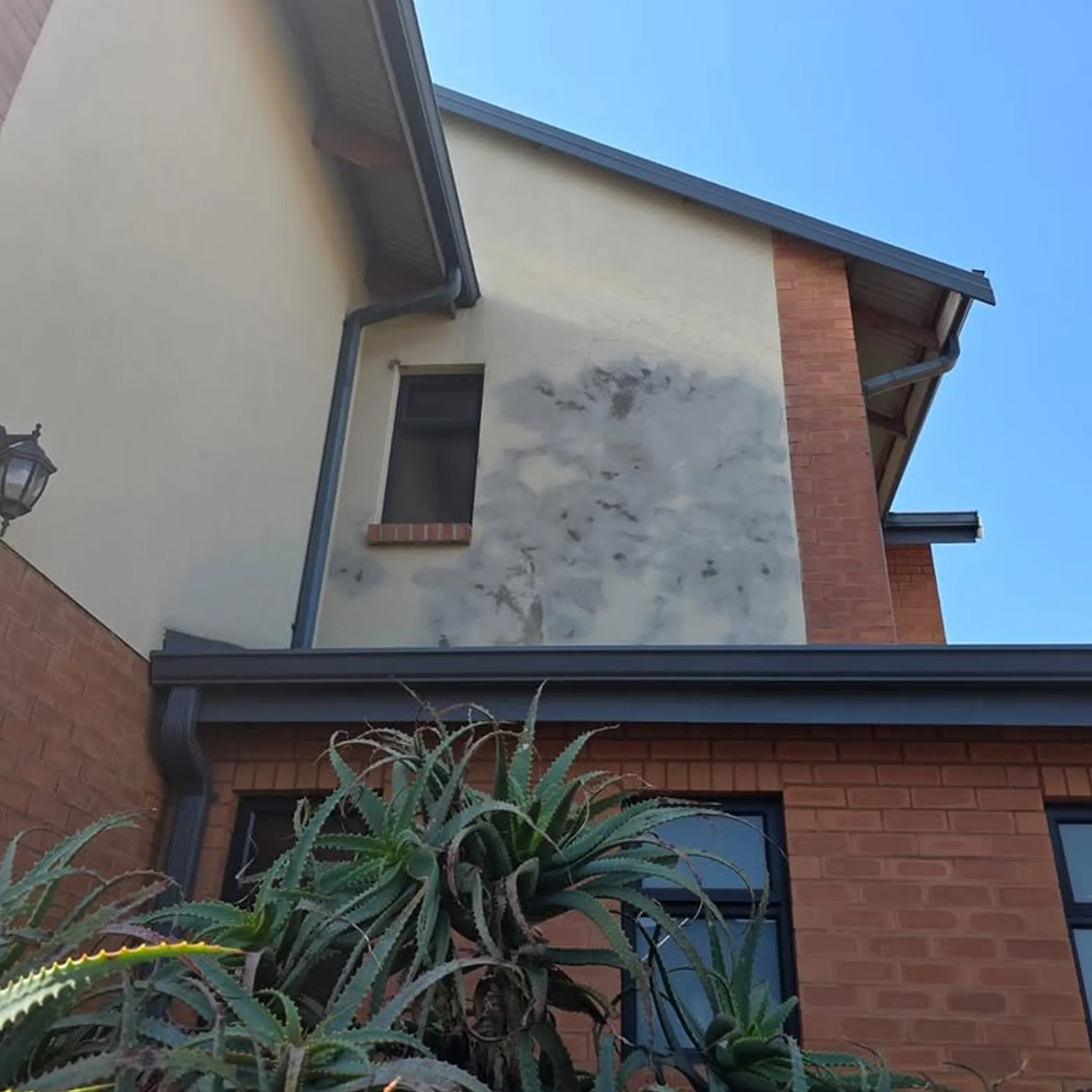 exterior moisture damage to structure